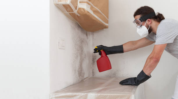Professional Mold Inspection And Testing technician working in Hamburg, NJ